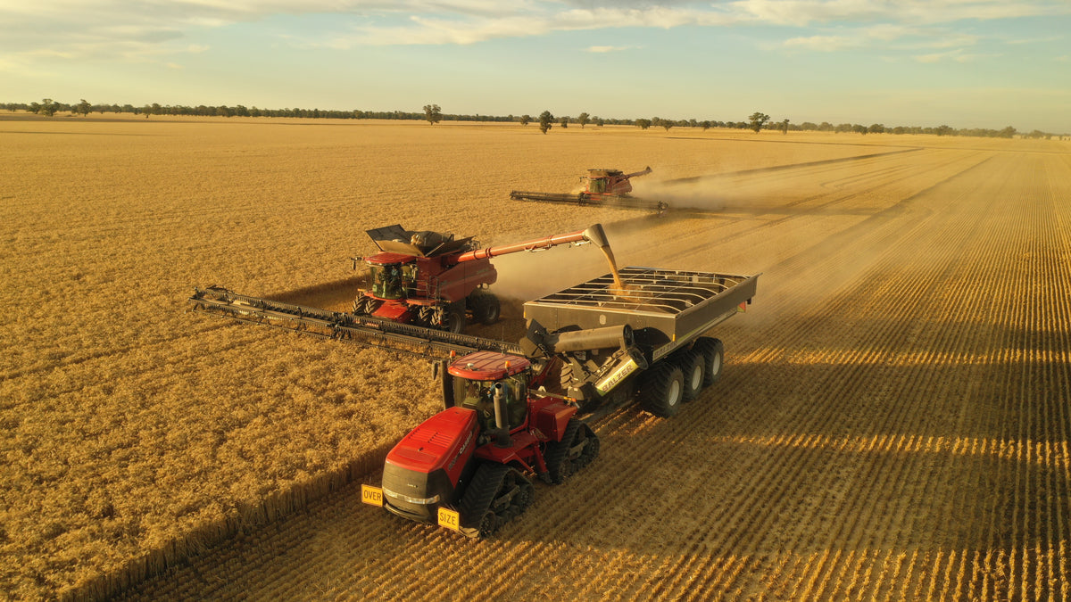 Narrain Grain harvest in southern NSW