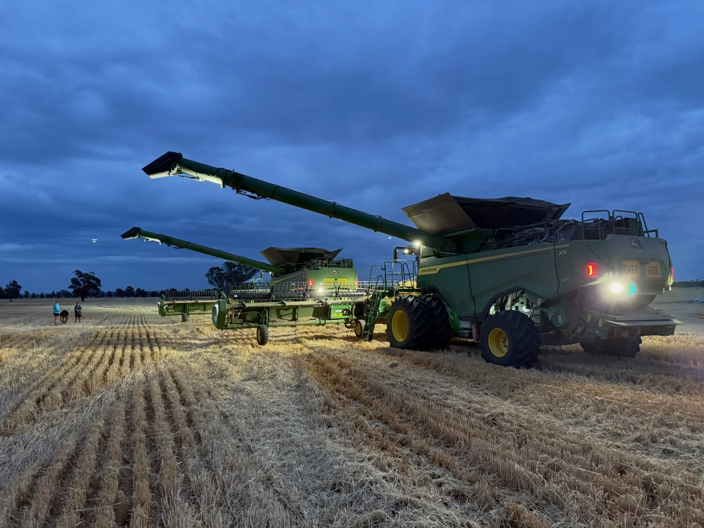 NARRAIN GRAIN — harvest near Oaklands, NSW